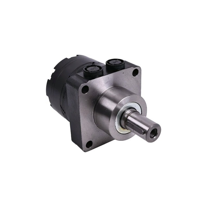Replacement Hydraulic Motor 501300W3120AAAAA for OTHER