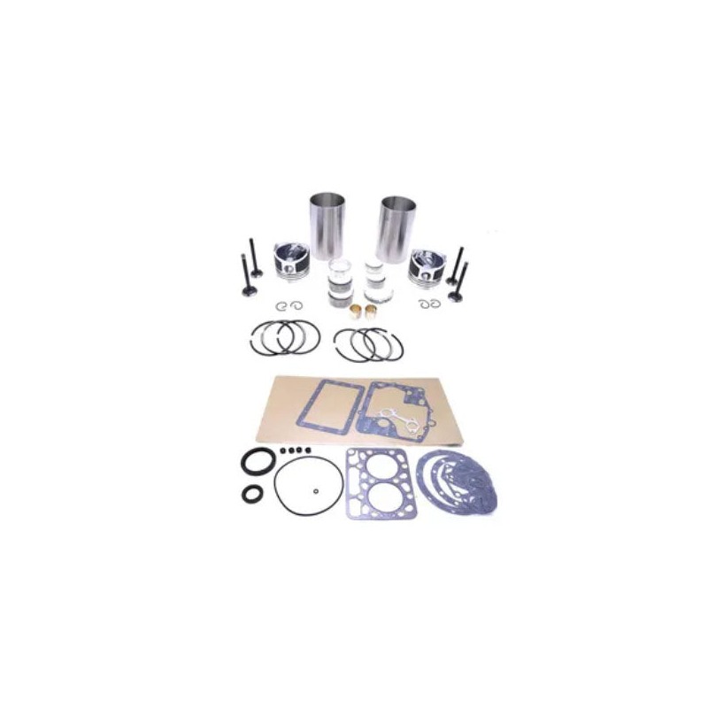 Replacement Overhaul Kits FP-EL1904118 for KUBOTA