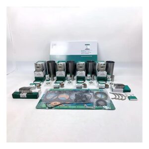 Replacement Overhaul Kits FP-EL1904HFP1901102 for CAT