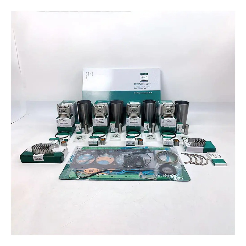 Replacement Overhaul Kits FP-EL1904HFP1901102 for CAT