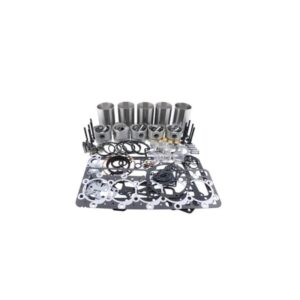 Replacement Overhaul Kits FP-EL1904HFP1908698 for KUBOTA