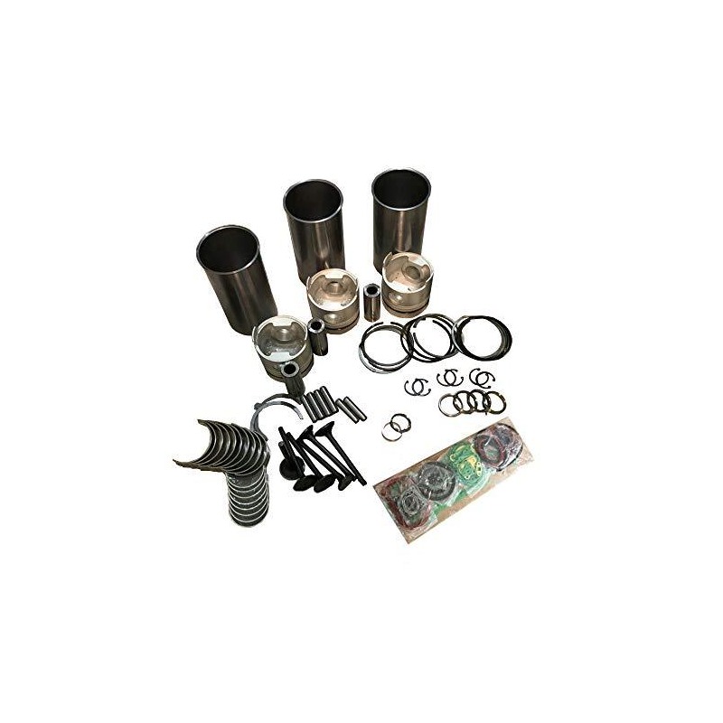 Replacement Overhaul Kits FP-ELFP2005HFP10030000438-5 for Cub