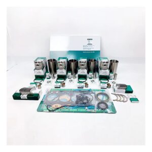 Replacement Overhaul Kits FP-ELFP200841 for HYUNDAI