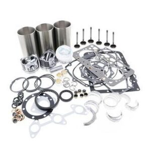 Replacement Overhaul Kits FP-ELFP2009HFP2001817 for Iseki