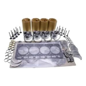 Replacement Overhaul Kits FP-ELFP2011118 for DOOSAN