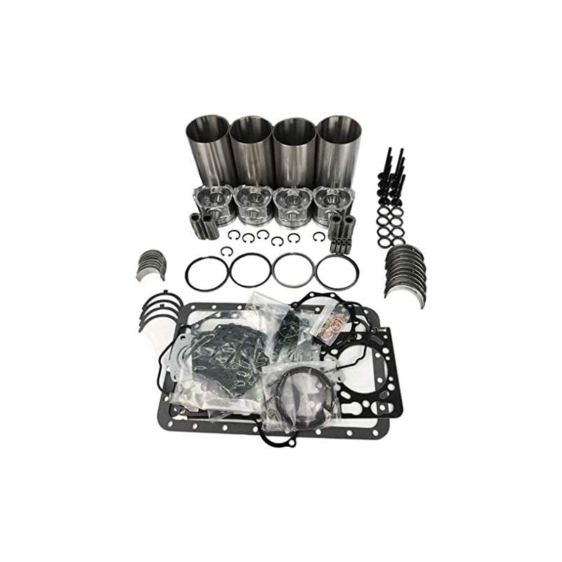 Replacement Overhaul Kits FP-ELFP2510A07 for CAT