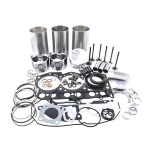 Replacement Overhaul Kits FP-ELHFP10030906 for JOHN DEERE