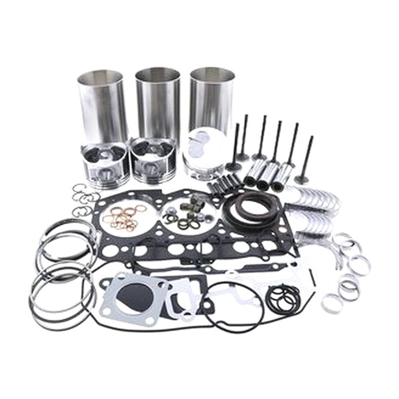 Replacement Overhaul Kits FP-ELHFP10030906 for JOHN DEERE