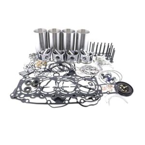Replacement Overhaul Kits FP-ELHFP10031055 for CAT