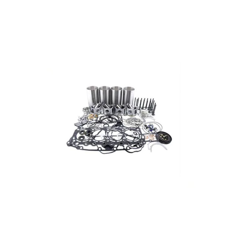 Replacement Overhaul Kits FP-ELHFP10031427 for Bomag