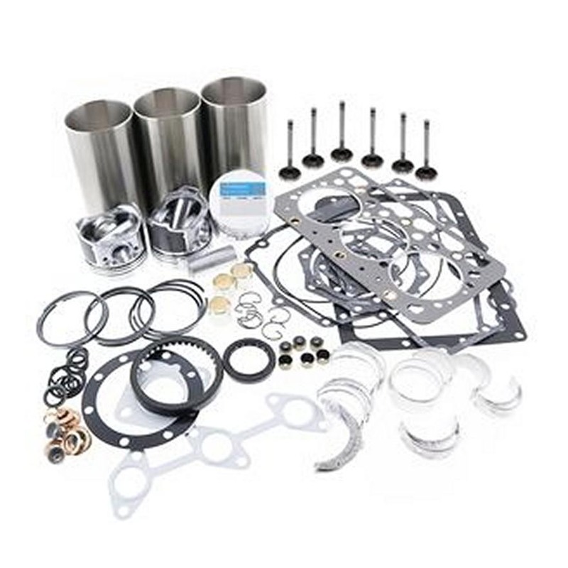 Replacement Overhaul Kits FP-ELHFP1908953-6 for Takeuchi