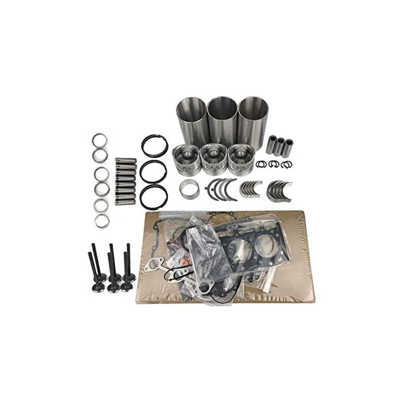 Replacement Overhaul Kits FP-ELHP20000448 for OTHER