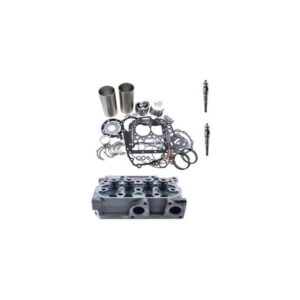 Replacement Overhaul Kits FP-FPCR2408008 for KUBOTA