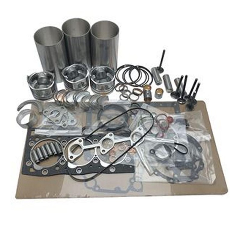 Replacement Overhaul Kits FP-LXFP31026EC01-1 for HITACHI