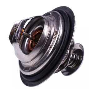 Replacement Thermostat VI5137700320 for CASE