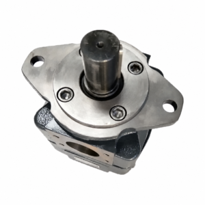 QX41-040/31-025R Hydraulic Gear Pump