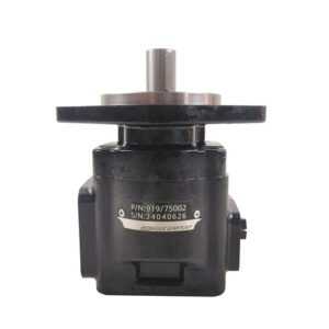 20/925588 / 20/925356 / 20/918500 / 7029530002 / 919/75002 Hydraulic Pump