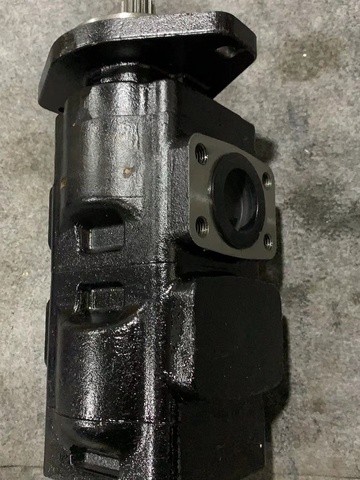 7029120077 / 7029120078 Hydraulic Gear Pump