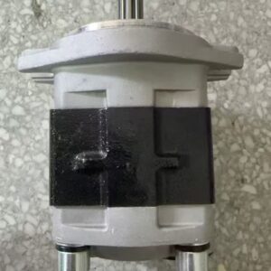 CBHZ-F20.4-AL2 Hydraulic Gear Pump