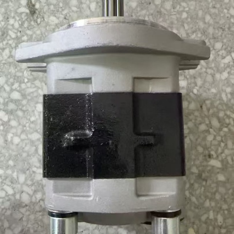 CBHZ-F20.4-AL2 Hydraulic Gear Pump