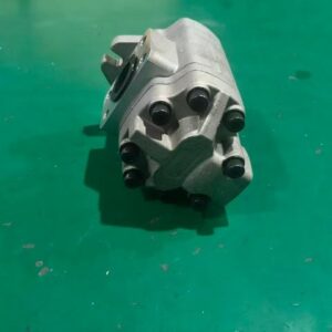 G5-10-6-1H15F-20-R Hydraulic Gear Pump