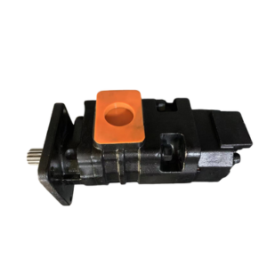 P4800 / F80NP367 / 6R124 / G20G / 14602252 Hydraulic Gear Pump