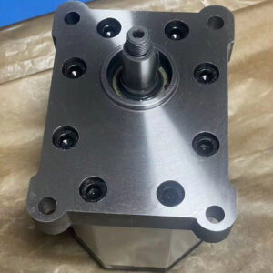 SNP3-20-DC0-02-0D Hydraulic Gear Pump