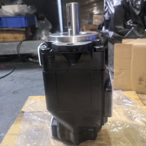 T6DC / T6DC-038-017-1R00 / T6DC-062-025-1R02 Hydraulic Vane Pump