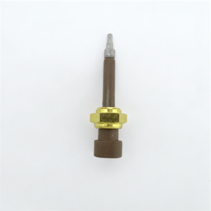 4307110 Engine Coolant Temperature Sensor for ISX