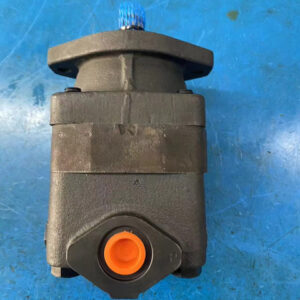 V20-1P11P-1C-11R / V20F-1P1.3P-038C-8H-22 Hydraulic Vane Pump